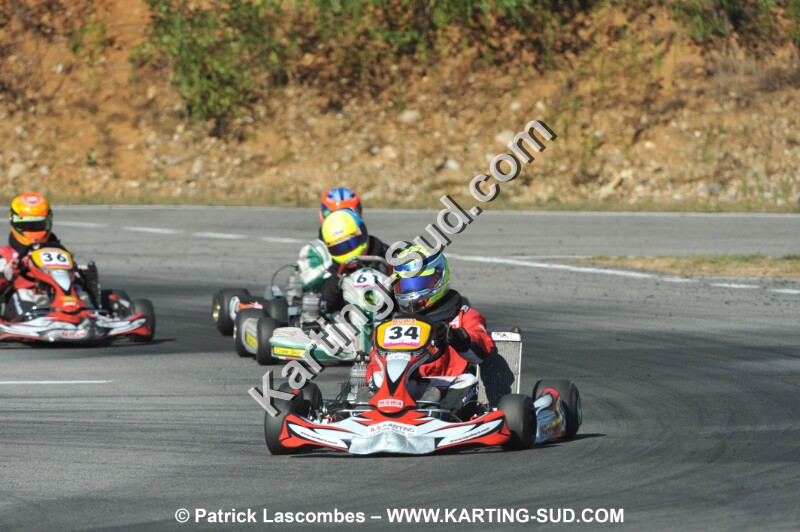 DSC_ (1173).JPG